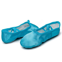 Zapatillas de Ballet de Primera Calidad para Unisex, Estructura Transpirable, Suela Antideslizante, para Bailarines, Práctica en Estudio, Buena Calidad, Personalizadas