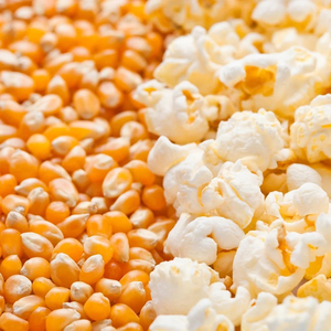 Palomitas de Maíz Premium al por Mayor, Listas para Enviar, Suministro a Granel, Grado Alimenticio, Producto de Exportación de Alta Calidad - Product Image 3