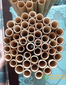 Matériel de nidification non toxique pour hôtels à insectes |   Tubes en bambou et tubes en roseau personnalisés pour projets de jardinage écologique - Product Image 3