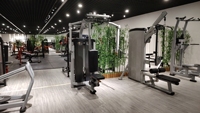 Equipo de gimnasio comercial para fitness y deportes: Máquina de cable para dominadas asistidas, flexiones y remo bajo con asistencia de fuerza.