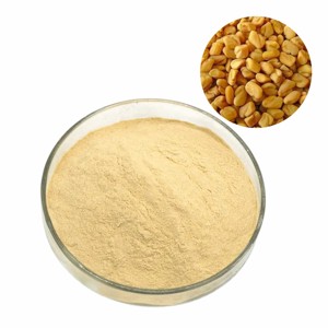 Poudre de graines de fenugrec 100 % pure, qualité alimentaire, fournisseur de poudre de fenugrec, contribue à maintenir l'équilibre digestif et le confort intestinal - Product Image 1