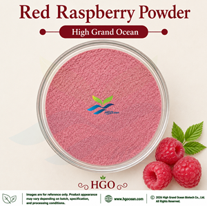 HGO Factory Direct Supply Pure Natural Red Raspberry Powder (Food Grade) Fruit powder Spray Drying or Freeze-dried powder - Product Image 1
