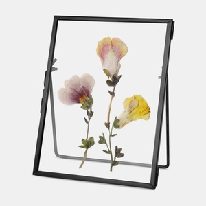 Modern Brass <b>Photo</b> <b>Frame</b> Glass Rectangular Tabletop Display Stand High Quality Handmade Brass <b>Photo</b> <b>Frame</b> Wedding Decor - Product Image 2