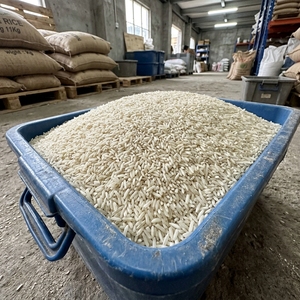 Arroz Blanco de Grano Largo Seco Seleccionado para Exportación, Suministro para Compradores Mayoristas, Molienda de Grano Puro y Empaque Seguro - Product Image 6