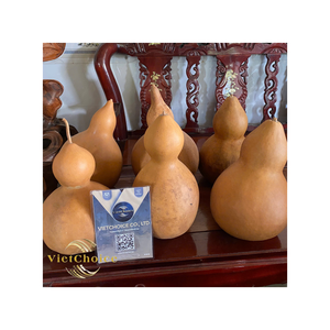 Matériaux en gros de calebasse séchée brute non peinte pour l'artisanat - Product Image 6