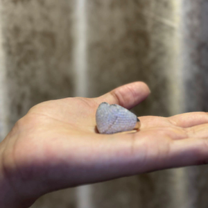 Luxury Iced Heart Moissanite <b>Ring</b> Micro Pave Sparkling <b>Statement</b> <b>Ring</b> For Women Hip Hop Jewelry Gift - Product Image 1