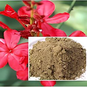 Fabricante Especializado en Productos Botánicos, Extracto de Raíz de Plumbago Indica en Polvo, Ingrediente Natural para Productos Herbales, OEM - Product Image 3