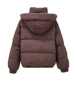 Nouvelle veste d'hiver pour femmes, manteau décontracté en duvet, surdimensionné, à capuche, en coton doux et chaud, doudoune pour la neige - Product Image 5