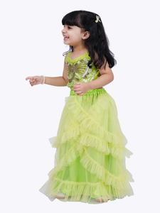 Elaisha Woven Sleeveless Placement Embroidered Top With Net <b>lehenga</b>-Limegreen - Product Image 4