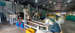 Cashew & Fruit Processing Factory 5-100 T/Day Auto Raw Cashew Nut Food Grade Stainless Steel TTQ Brand Vietnam - Product Image 3