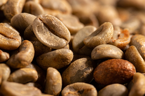 Vietnam Organic Green Coffee <b>Beans</b> Arabica S16 Wholesale Direct Export USDA Organic Certified Low Defect TNFOOD AA+ Grade - Product Image 1