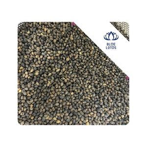 [VENTA CALIENTE] Semillas de Papaya de Grado A de la Marca Blue Lotus, 1 kg, Procesamiento y Exportación a Granel desde Ho Chi Minh, Vietnam - Product Image 1