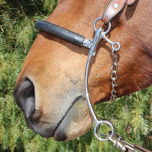 บิตม้าแบบแฮคคาโมร์ สเตนเลสสตีล ลวดบิดเกลียว สำหรับม้าตะวันตก ยี่ห้อ Veterinary Hilason รุ่น Combination Hackamore  แบบปากเรียบ - Product Image 3