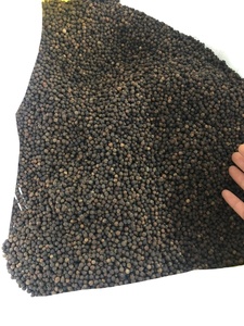 Meilleur prix Poivre noir de haute qualité 500 GL 550 GL 5MM FAQ Épice en gros Poivre noir séché +84 352 542 206 - Product Image 2