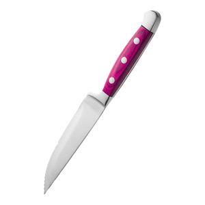 Ensemble de couteaux à steak modernes en acier inoxydable avec manche ergonomique en plastique pour la maison, la cuisine, les restaurants, vente en gros, fabricant - Product Image 2