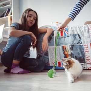 Pelota Interactiva Inteligente para Mascotas, Perros y Gatos Grandes y Pequeños, Juguete con Movimiento Giratorio para Interiores - Product Image 3