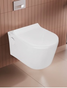 Inodoro suspendido de pared con diseño sin borde, tapa de asiento desmontable de cierre suave, conexión L+N, tamaño 490x350x340mm - Product Image 2