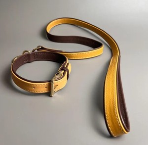 Comfort Grip Eco-Friendly 100% Cotton <b>Dog</b> <b>Leash</b> with Animal Pattern for Happy Walks - Product Image 1