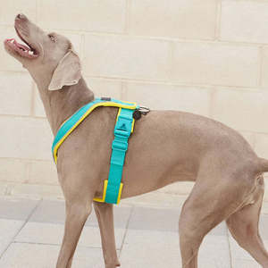 Harnais anti-traction pour animaux de compagnie avec clips avant et arrière, en tissu respirant, confortable et de contrôle efficace pour la promenade, l'entraînement et la course - Product Image 4