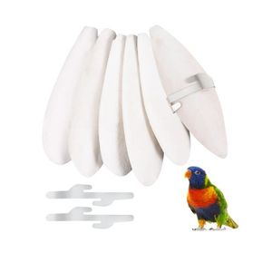 กระดูกปลาหมึกคุณภาพดี แคลเซียมสูง เหมาะสำหรับของเล่นตัดแต่งปากนกแก้ว และอาหารเสริมแร่ธาตุสำหรับสัตว์เลื้อยคลาน - Product Image 1