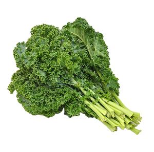 Venta caliente de alta calidad 100% Pure Bulk Organic Freeze-dried <span class=keywords><strong>Collard</strong></span> Greens para la exportación - Product Image 4