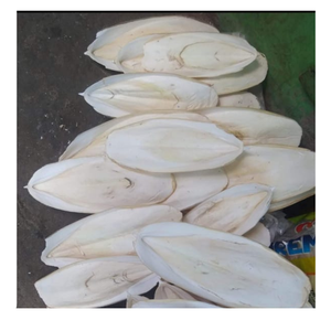 กระดูกปลาหมึกธรรมชาติ อาหารเคี้ยวสำหรับนก อุดมด้วยแคลเซียม - Product Image 1