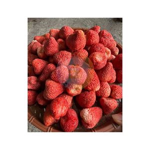 Fresas Enteras Liofilizadas de Alto Estándar en Empaque al Vacío, Peso Personalizado en Onzas, Sabor Dulce, Listas para Comer, FD para Venta al por Mayor - Product Image 1