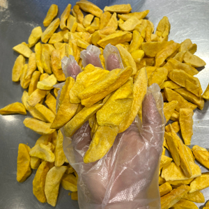 Mango Liofilizado Preparado con Trozos de Mango Natural para Suministro de Ingredientes y Snacks, Fruta Liofilizada a Granel, Vietnam - Product Image 1
