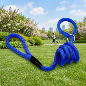 Laisse de dressage pour chien en nylon solide classique populaire, facile à utiliser, de qualité supérieure, en corde ronde, fabriquée par TW - Product Image 4