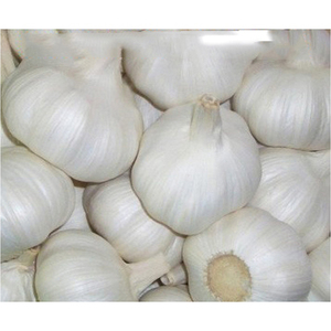 Ail frais cultivé en ferme naturelle, bulbes d'ail de qualité export, fournisseur en gros - Product Image 3