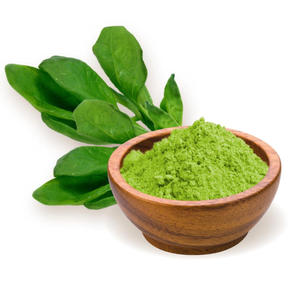 Premium Spinatpulver Spinacia Oleracea Natürliches Grünes Blattpulver für Lebensmittelverarbeitung Smoothies Würzmittel Großhandel Großmengenlieferung - Product Image 3