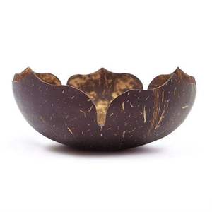 Venta al por mayor directa de fábrica: Cuencos de coco natural a granel, vajilla ecológica sin residuos, cuencos orgánicos con logo personalizado para marcas. - Product Image 1