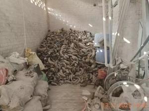 แถบเขาควายธรรมชาติ ทนทาน ทำด้วยมือ สีดำ น้ำตาลเข้ม ลายธรรมชาติ ขนาด 60x160 มม. สำหรับทำธนู ขัดเงาเรียบ - Product Image 4