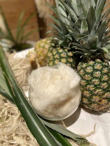 เส้นใยสับปะรด PlantPure พรีเมียม เส้นใยสิ่งทอที่เป็นมิตรต่อสิ่งแวดล้อม - Product Image 2