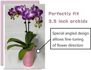 ชุดจัดแสดงกล้วยไม้สีขาวและดำ-ขาตั้ง F108SSM 3หลอด + ถาดวงรีสำหรับ3.5 "กล้วยไม้เหมาะสำหรับงานแต่งงานและตกแต่งขายปลีก - Product Image 4