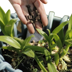 Factory Price Vermicompost Powder Pellets High Quality Organic <strong>Soil</strong> <strong>Amendment</strong>
