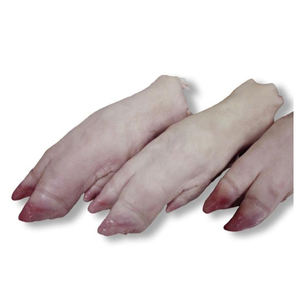 Patas Delanteras de Cerdo Congeladas de Alta Calidad, Empaque a Granel, Grado Superior AA - Product Image 6