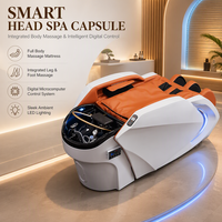 Table de massage et de lavage capillaire 2-en-1 pour spa, avec système de circulation d'eau, idéale pour salons de beauté