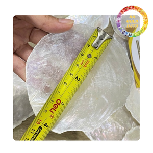 Premium Capiz <b>Shell</b> Panels for <b>Lighting</b> Lampshade Decoration Translucent Natural <b>Shell</b> Sheets - Product Image 5