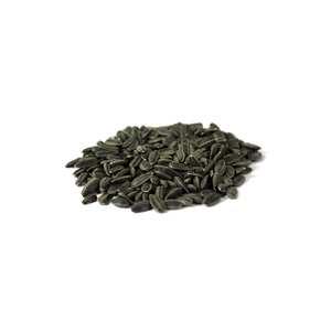 Semillas de girasol a precio económico, suministro al por mayor, semillas tostadas frescas - Product Image 1