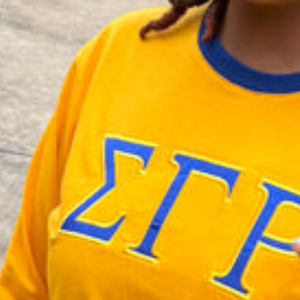 Camiseta Personalizada SGRHO de Manga Larga para Mujer, con el Logotipo de la Hermandad Griega Sigma Gamma Rho, Cuello Redondo, Informal, de Algodón, Venta al Por Mayor - Product Image 3