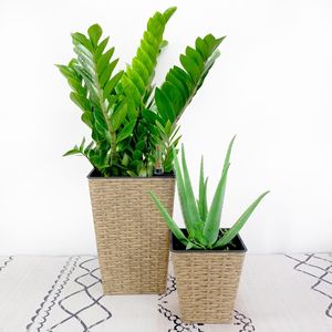 Paquete de 2 Macetas Cuadradas de Mimbre Tejidas a Mano, Color Marrón, con Sistema de Autorriego, Macetas Inteligentes para Interiores y Exteriores - Product Image 1