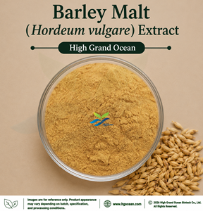 Extracto de Cebada (Hordeum vulgare) de Suministro Directo de Fábrica HGO (Grado Alimenticio) en Proporciones 4:1 5:1 10:1 20:1 100:1 200:1 - Product Image 1