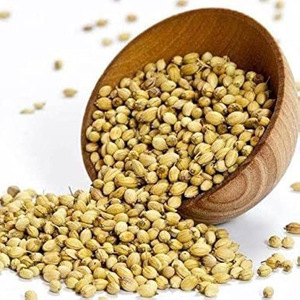 Offre Exceptionnelle : Graines de Coriandre Entières 100% Naturelles Séchées de Qualité Supérieure, Personnalisables, Épice Culinaire, Durée de Conservation de 12 Mois - Product Image 1