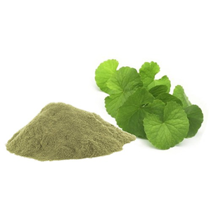 <b>Best</b> Price Factory Wholesale Supply Natural 50% Bacopa Monnieri Extract Powder - Product Image 4