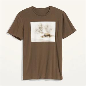 T-shirt Femme 100% Coton Col Rond Manches Courtes Coupe Classique Respirant Couleur Unie Style Décontracté 180 Grammes Tricoté Devant Uni - Product Image 1