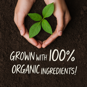 Suplemento orgánico de cardo mariano de silimarina de alta resistencia para la salud del hígado adulto Comida saludable OEM de Corea - Product Image 2