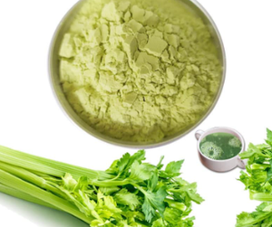Polvo de Apio Orgánico |   Alta Densidad de Nutrientes |   Suministro a Granel de Alimentos Funcionales // Evan - Product Image 5