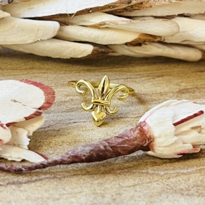 Anillo de latón gótico con flor de lis de estilo moderno para mujer, chapado en oro de 18k, joyería vintage delicada hecha a mano, venta al por mayor/OEM - Product Image 1