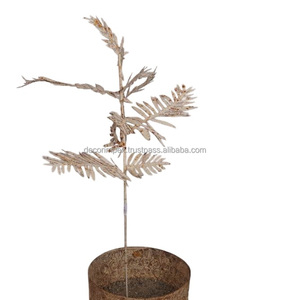 Maison jardin piquet métal jardin décoration fleur jardin bâton extérieur et intérieur métal moderne décoration rustique jardin - Product Image 4